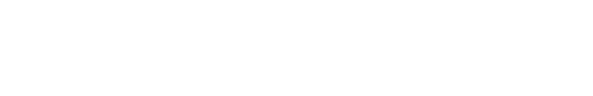 Karkkainen_logo valkoinen